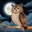 NightOwl